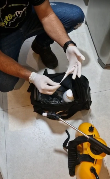 Dedetização 1